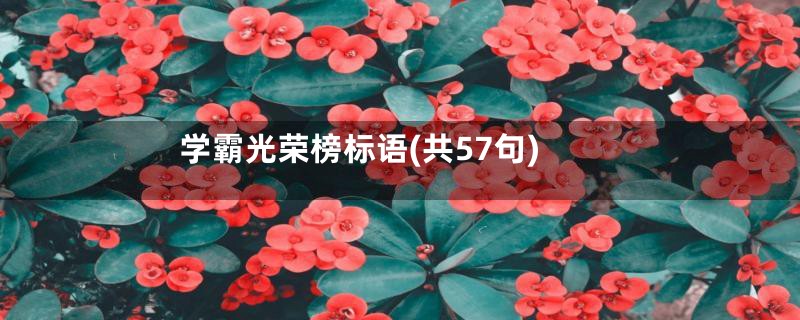 学霸光荣榜标语(共57句)